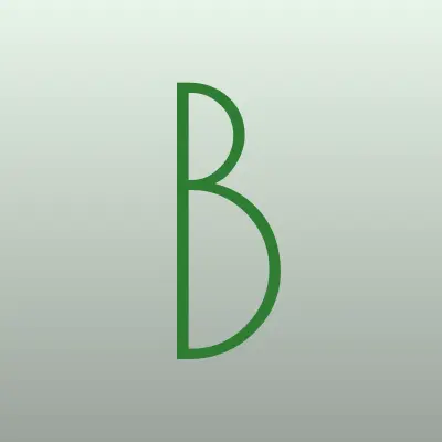 БитНК, компания, лого-визитка