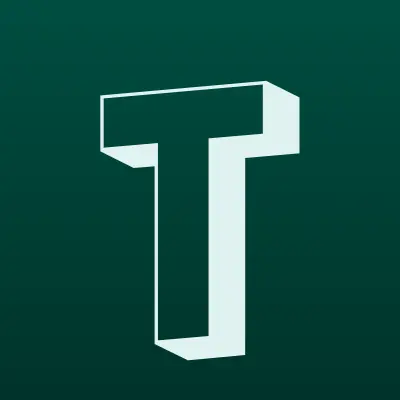 Термекс сервис, торгово-сервисный центр водонагревателей, лого-визитка