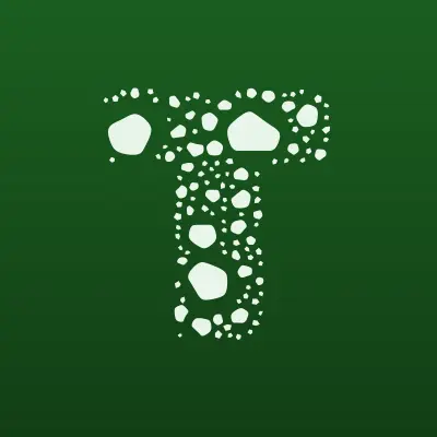 Твой инструмент, магазин, лого-визитка